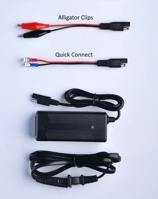 LiFePO4 Lithium Battery 3A Charger
